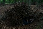 Camp 2011 (821)